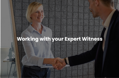 Working with your Expert Witness